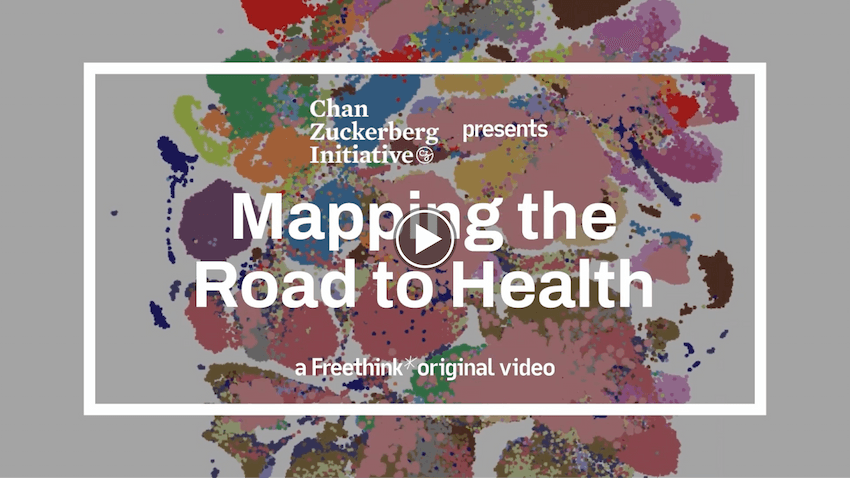 Chan Zuckerberg Initiative presents Mapping the Road to Health, a Freethink original video (external link)