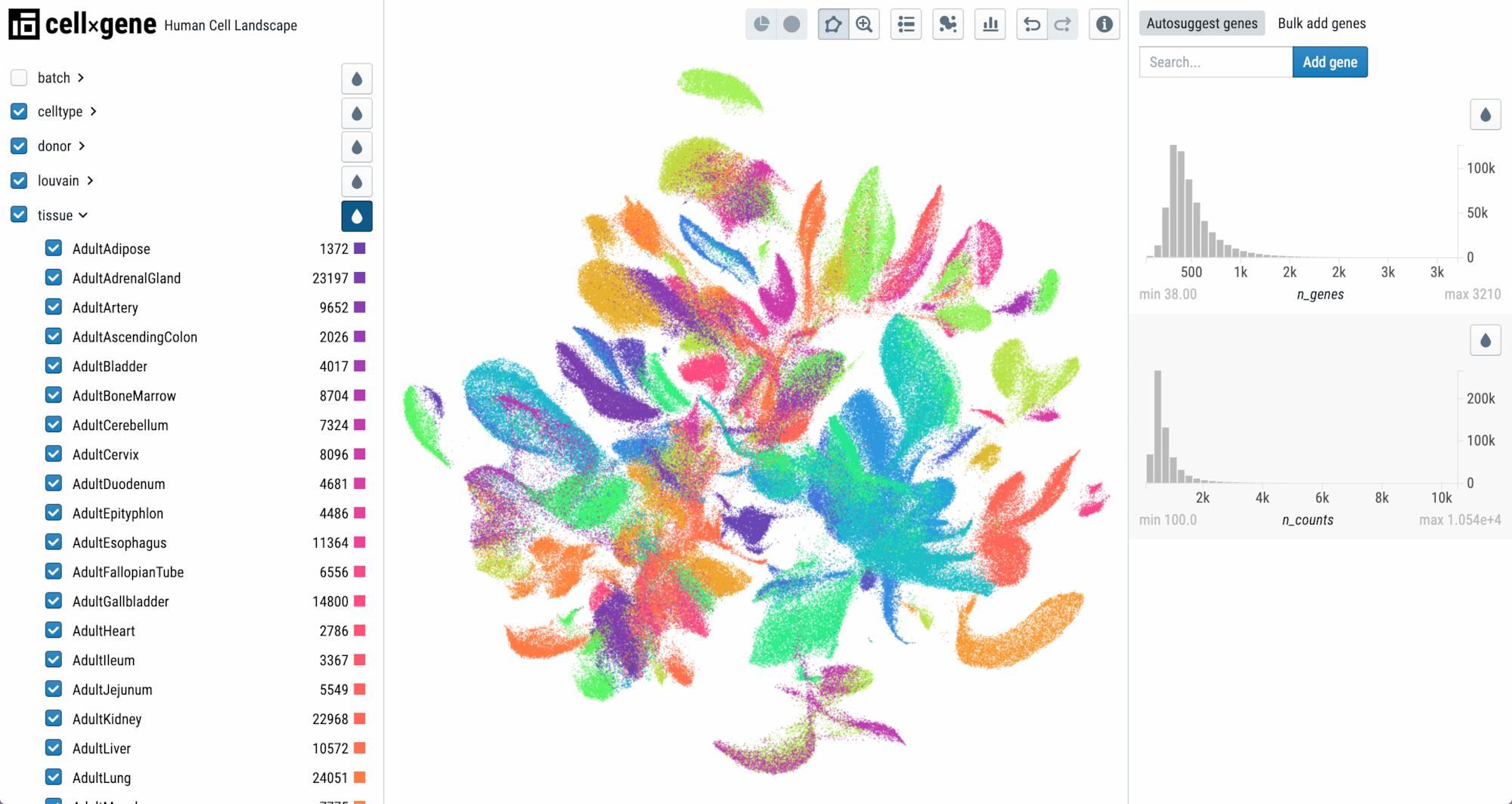 CELL×GENE | Explorer